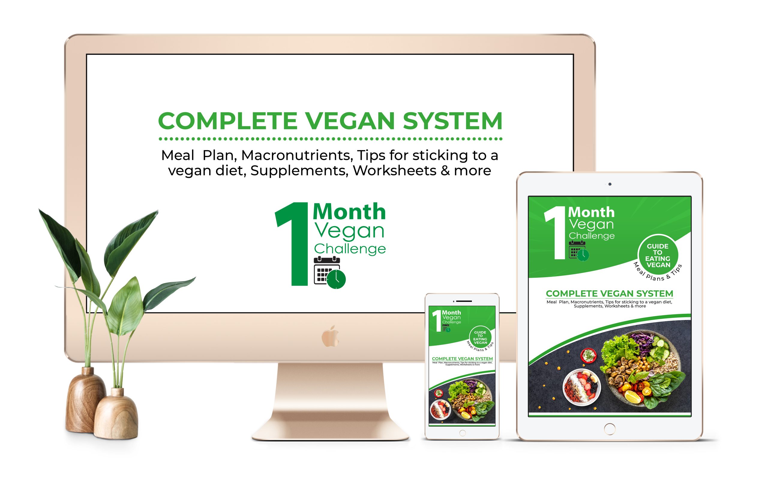 The 1 Month Vegan Challenge